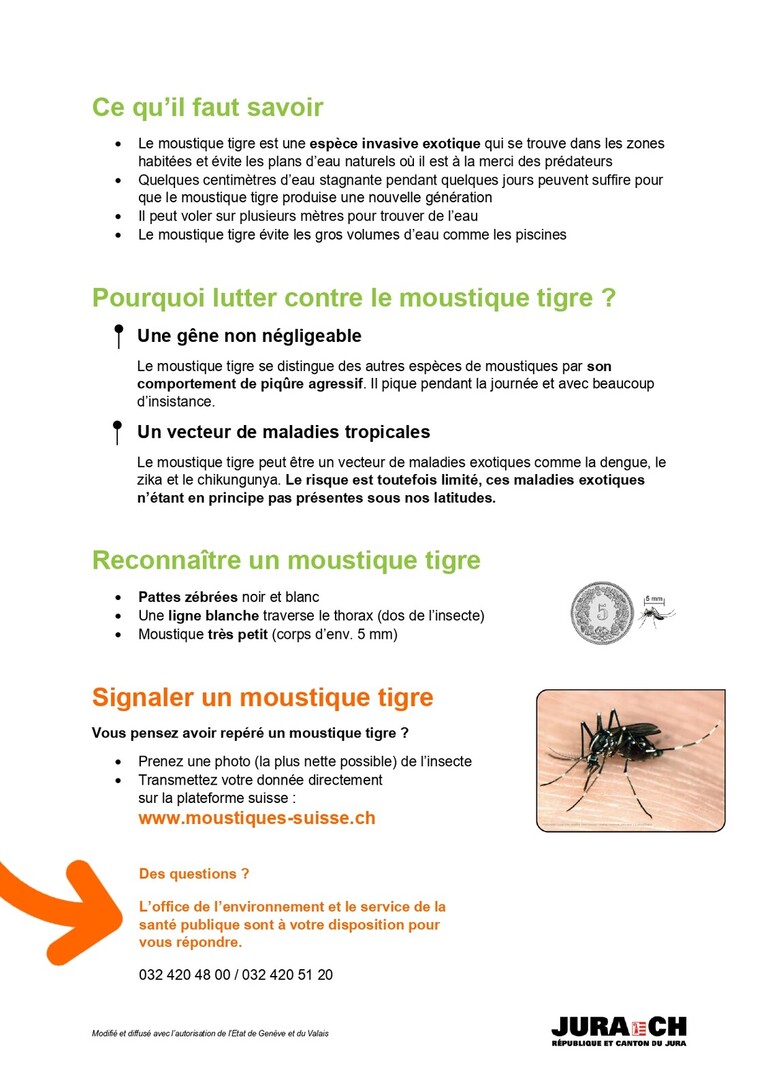 Moustique tigre