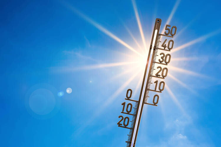Alerte canicule
