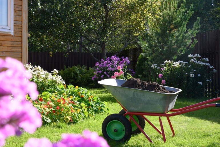 Des plantes locales bien armées pour l’avenir