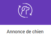 Annonce de chien