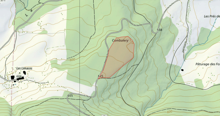 Forêt du Combalery