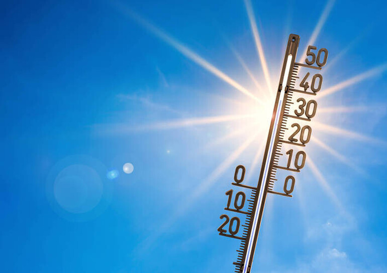 Prévention Canicule