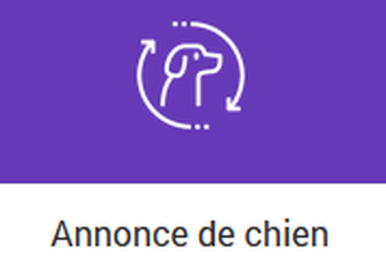 Nouvelle prestation en ligne